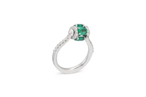 PROCIDA RING