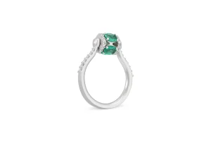 PROCIDA RING
